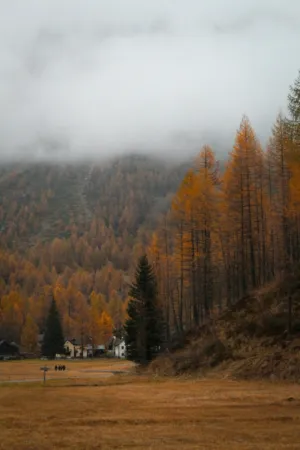 Autumnal Landscape