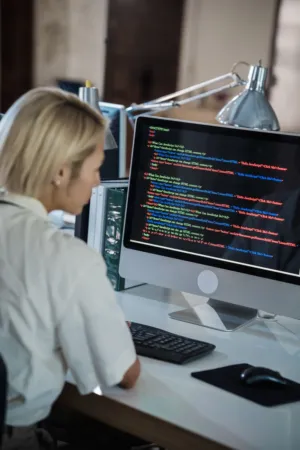 Developer At Work