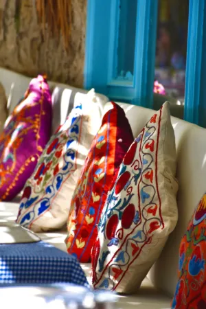 Colorful Embroidered Pillows