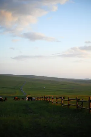 Idyllic Pastoral Landscape