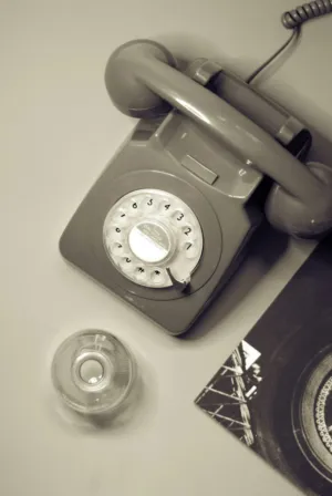 Vintage Telephone And Vinyl Record