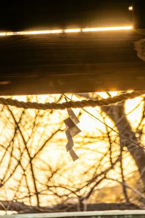 Sunlit Window