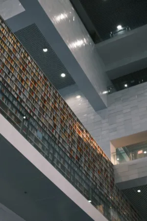 Modern Library Interior