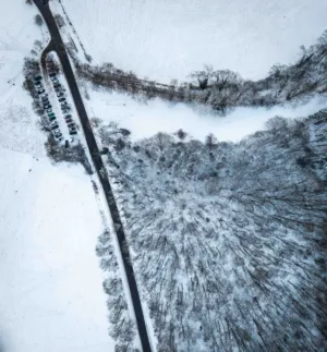 Winter Landscape