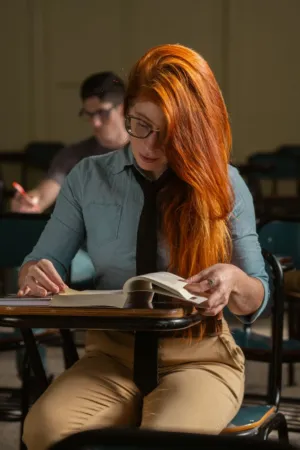 Student Studying In Classroom