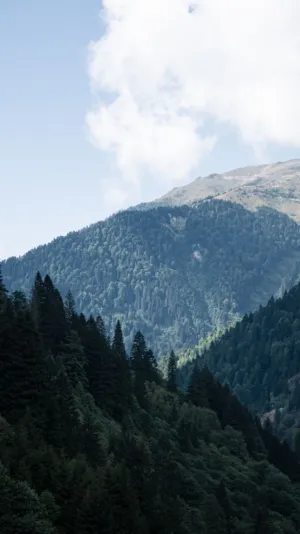 Mountain Landscape