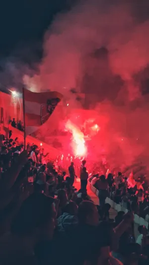 Crowd At A Sports Event