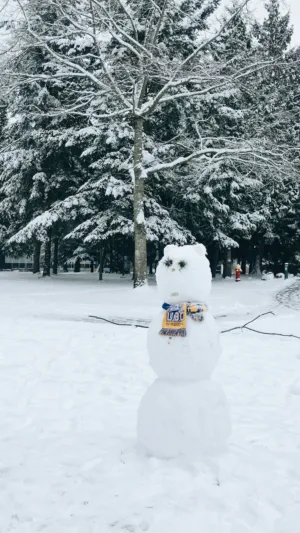 Snowman In Winter Wonderland