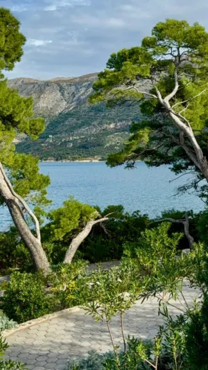 Lush Coastal Landscape