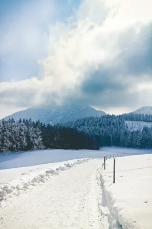 Winter Landscape