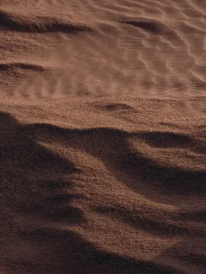 Desert Sand Dunes