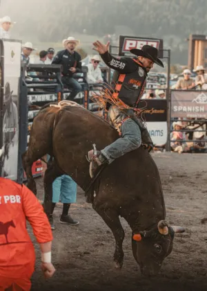 Bull Riding At A Rodeo