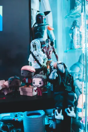 Toy Collection Display
