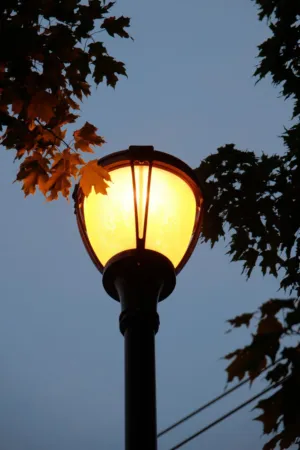 Street Lamp At Dusk