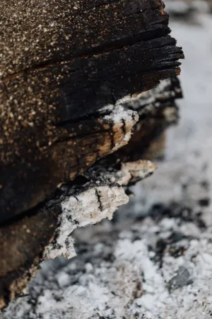 Charred Wood