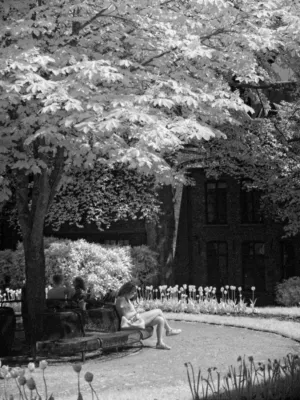Park Scene