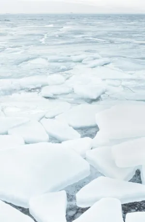 Frozen Landscape