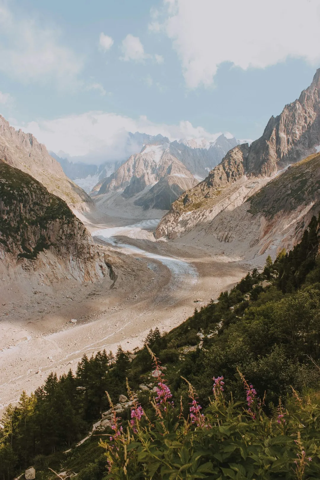 Alpine Landscape