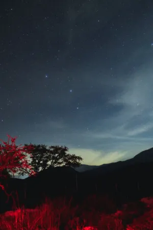 Starry Night Sky