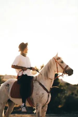 Riding The Sunset