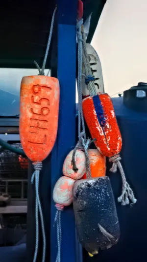 Fishing Buoys