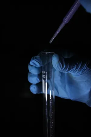 Scientific Experiment