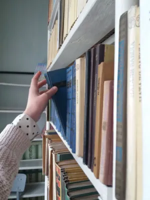 Bookshelf