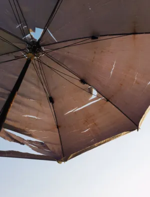 Torn Umbrella