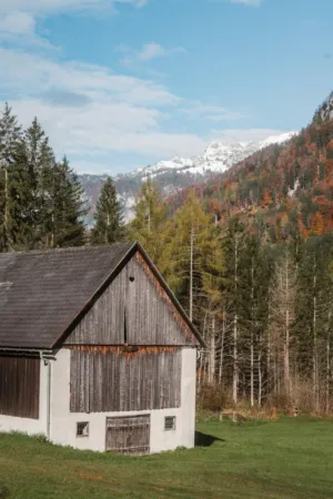 Alpine Barn