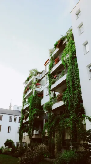 Green Urban Oasis