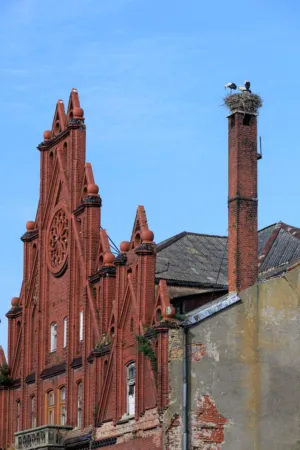 Red Brick Building With Storks