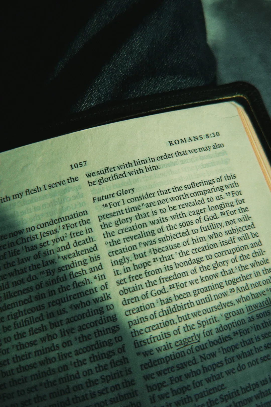 Bible Verse