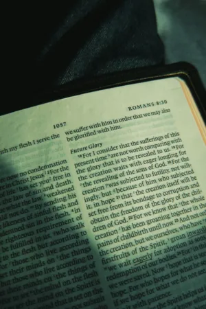 Bible Verse