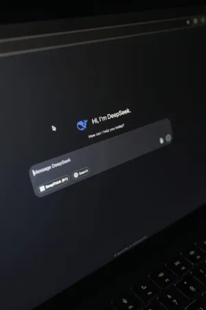 Deepseek Interface