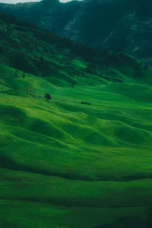 Green Rolling Hills