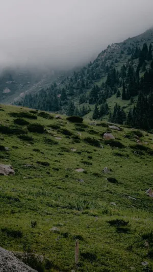 Misty Mountain Landscape