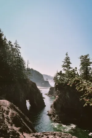 Canyon View