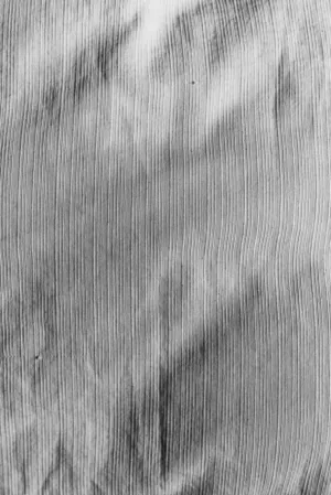 Abstract Textured Surface