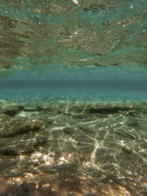 Underwater View