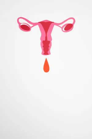 Female Reproductive System Art