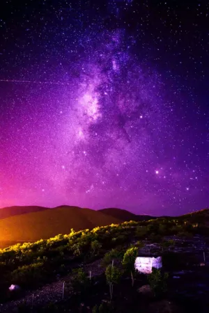 Starry Night Sky