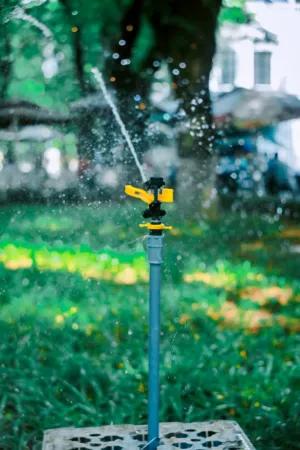 Sprinkler In Action