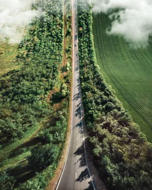 Road Through Green Fields
