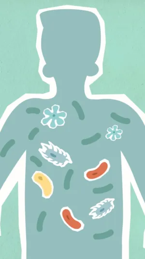Bacterial Silhouette