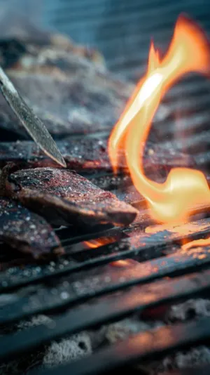 Grilled Meat On A Fiery Grill