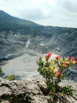 Volcanic Landscape