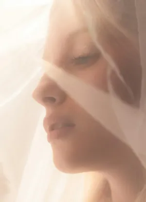 Soft Light And Veil