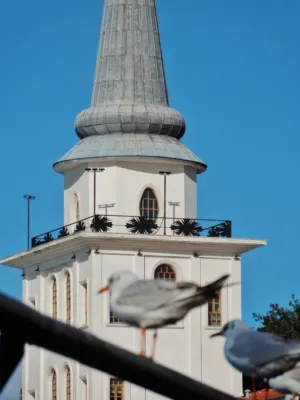 White Church Tower With Birds