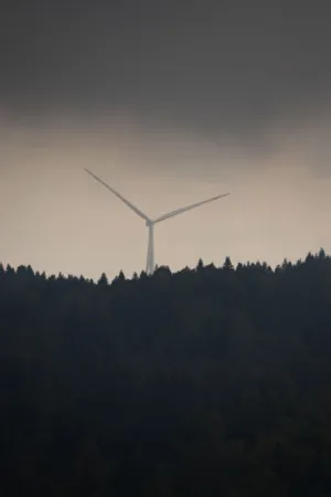 Wind Turbine In The Forest