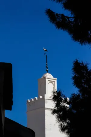 White Tower With Bird